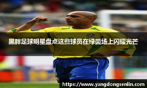 黑胖足球明星盘点这些球员在绿茵场上闪耀光芒
